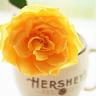 绿茶婊
